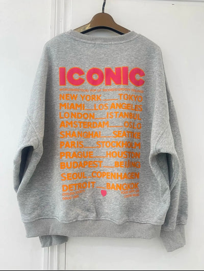 Iconic Grijs - Sweater
